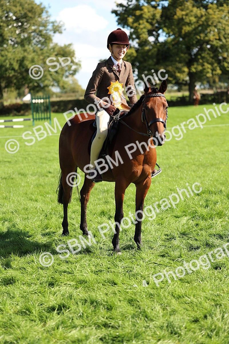 SBM_45462 - S33 - Working Hunter Pony