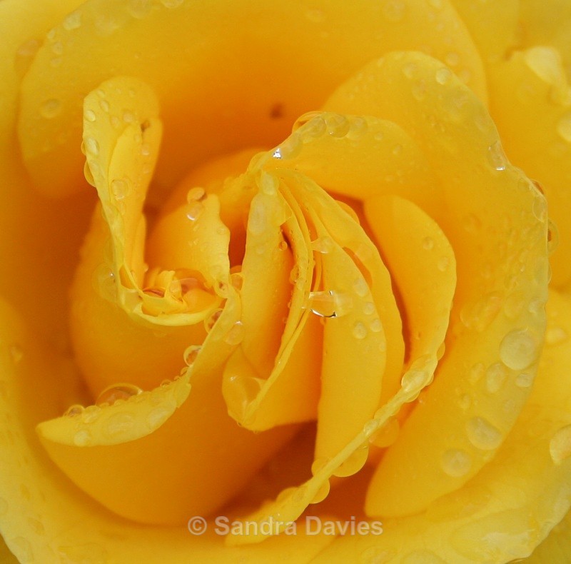  - Abstract, Macro & Misc.