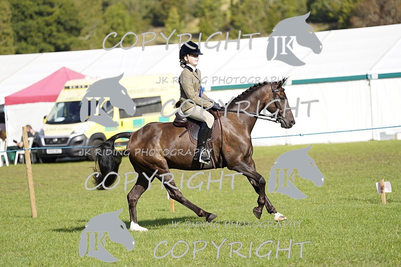 _DSC9599 - Class 8 & 17 Ridden Hunter & Ridden Hunter Pony