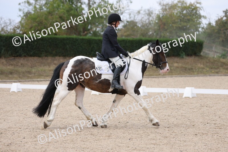 20250819-1343 - Class 4 - Novice 2