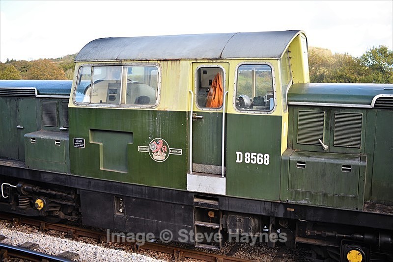 5th Nov 2017 - South Devon Railway, Buckfastleigh to Totnes, Devon