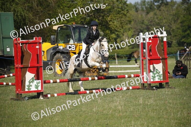 20250427-0379 - Class 12 - Rookie Jumping 40cm