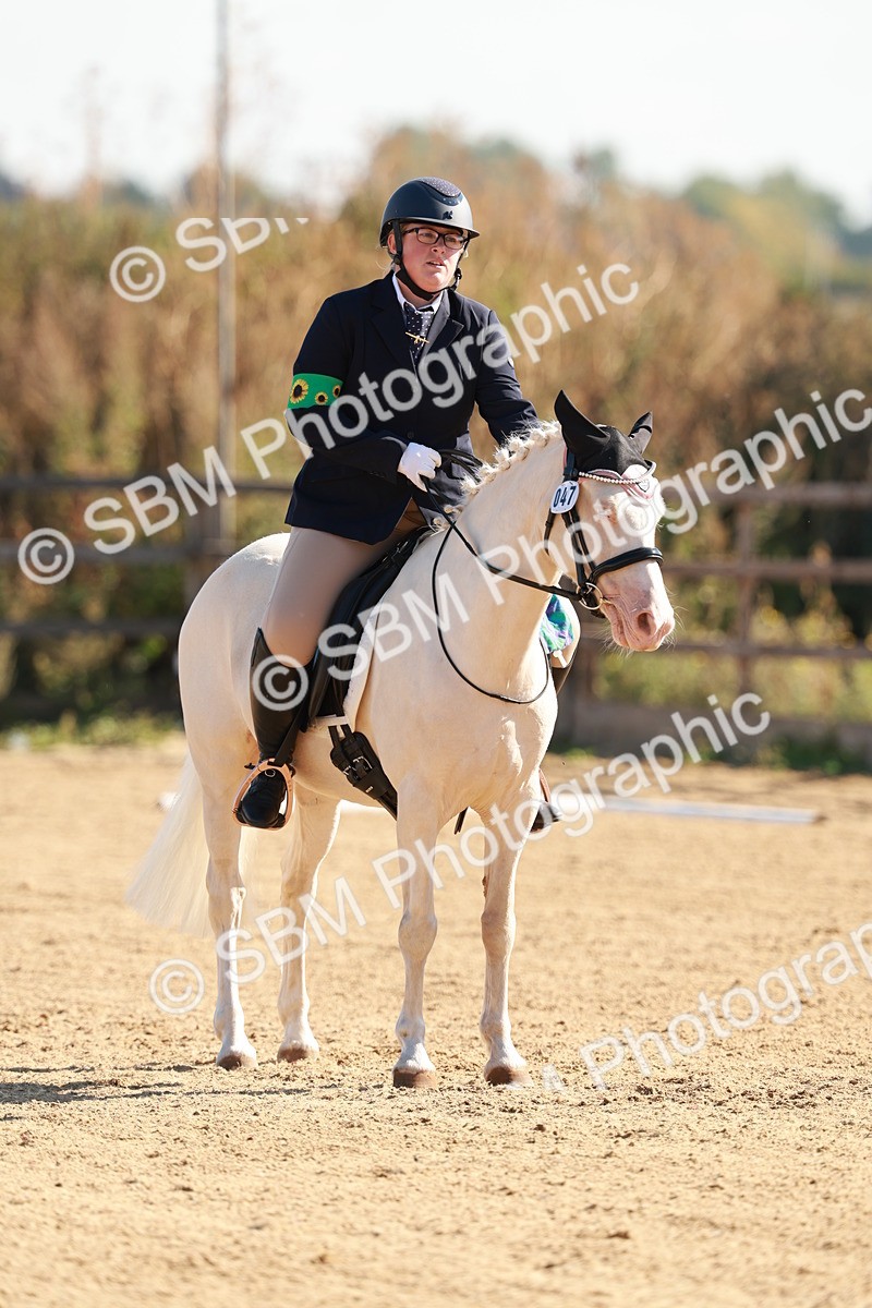 SBM_009314 - Class 2 - Intro 3