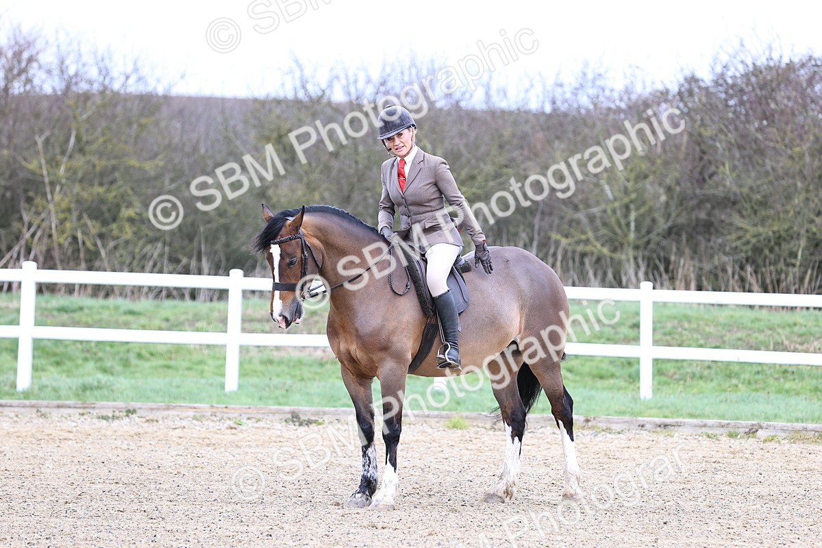 SBM_006967 - Class 29 - 30 - M&M Pure Novice Small-Large Breeds