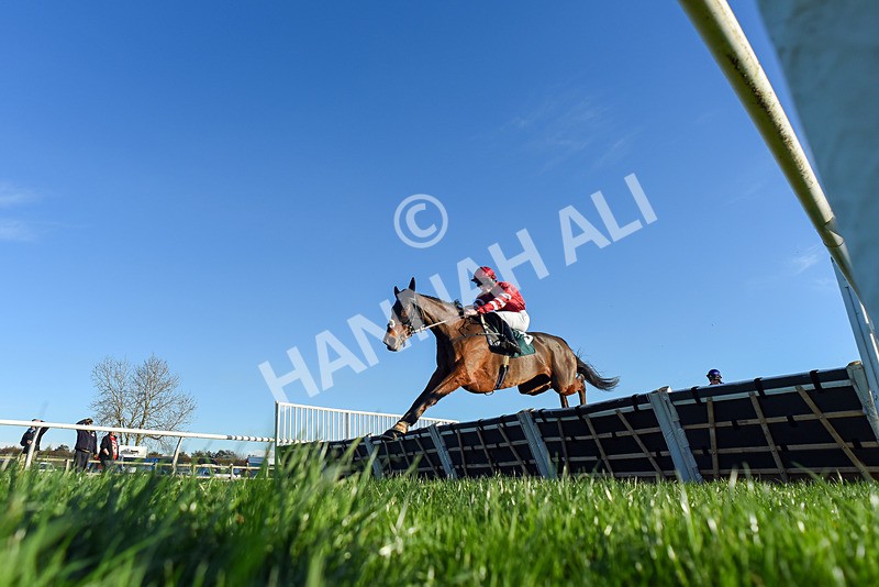 221124-Race 1-You Some Girl-2667 - Race 1