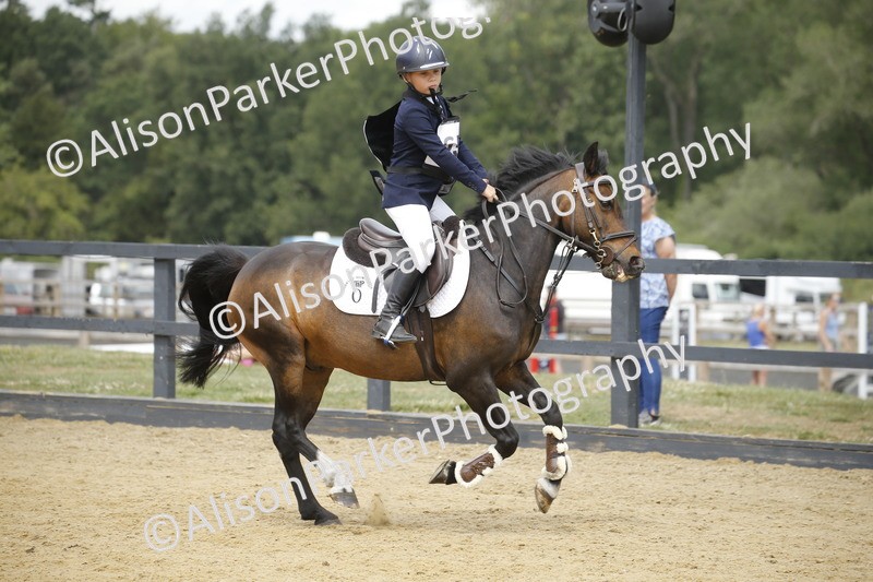 20250622-4727 - 50cm