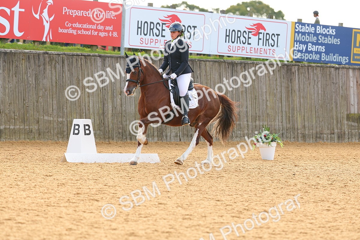 SBM_51214 - D12 - Small Tour Championship - Prelim 18