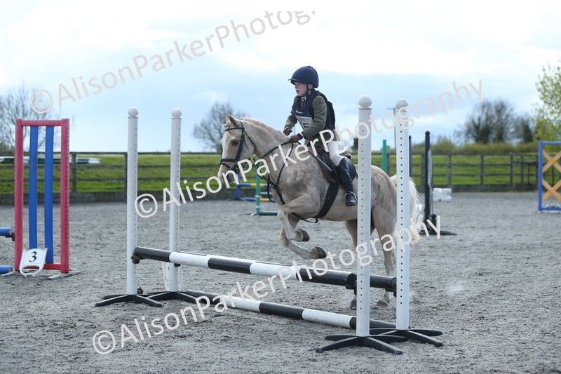 20260412-1778 - Show Jumping