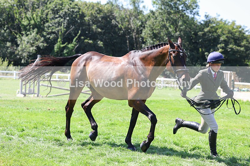 3E7A9092 - Class 6: Open Working Horse