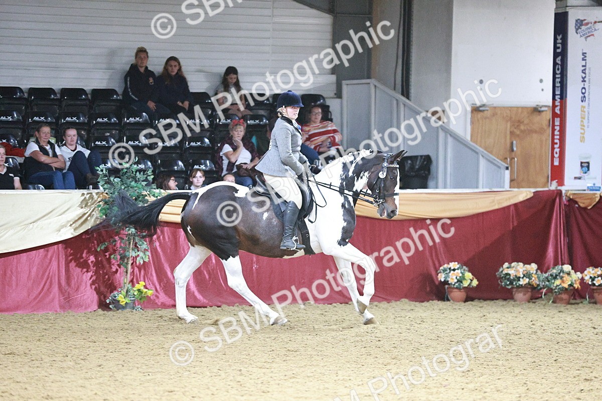 SBM_09091 - Class 12R - Regional Ridden Pre-Vet