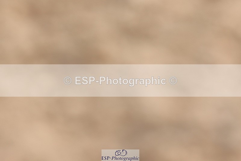 240622A-090830-07012 - Cls 24 BD Prelim 15