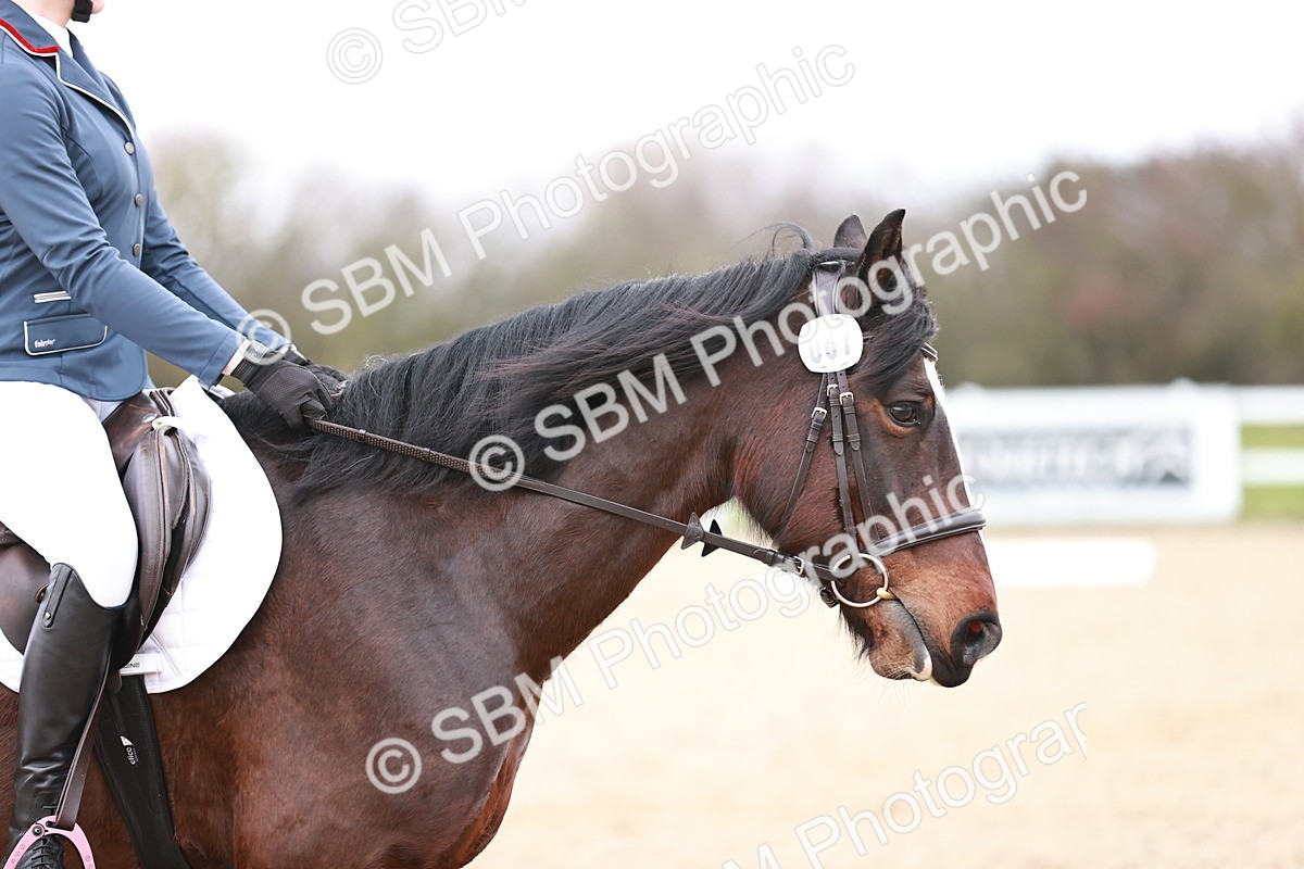 SBM_000744 - Intro 3