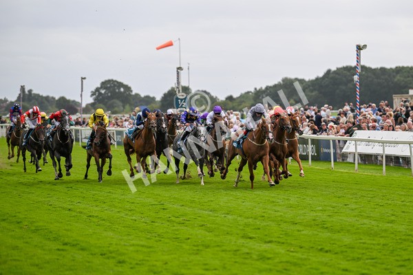 220824-Race 3-Thunder Run-7010 - Race 3 3.00pm Clipper Handicap