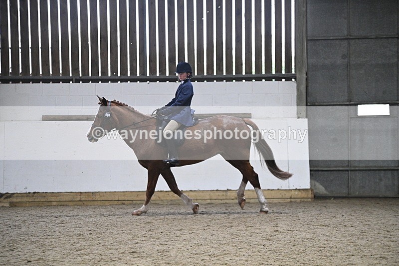 WJ7_4144 - Class 17 Ridden Cob