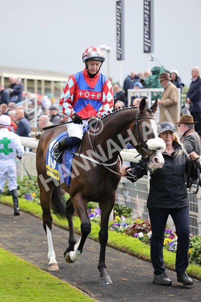 yr11052022r2-14 - Race 2 2.25pm Churchill Tyres Stakes