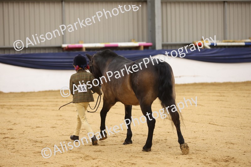 20260913-0109 - Class 121 - Young Handler 5-16