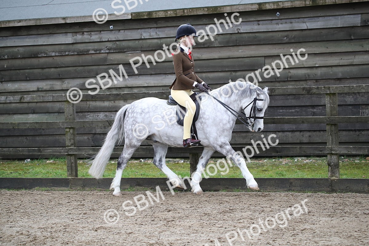 SBM_005895 - Class 10-13 - RIHS Small Large Breeds