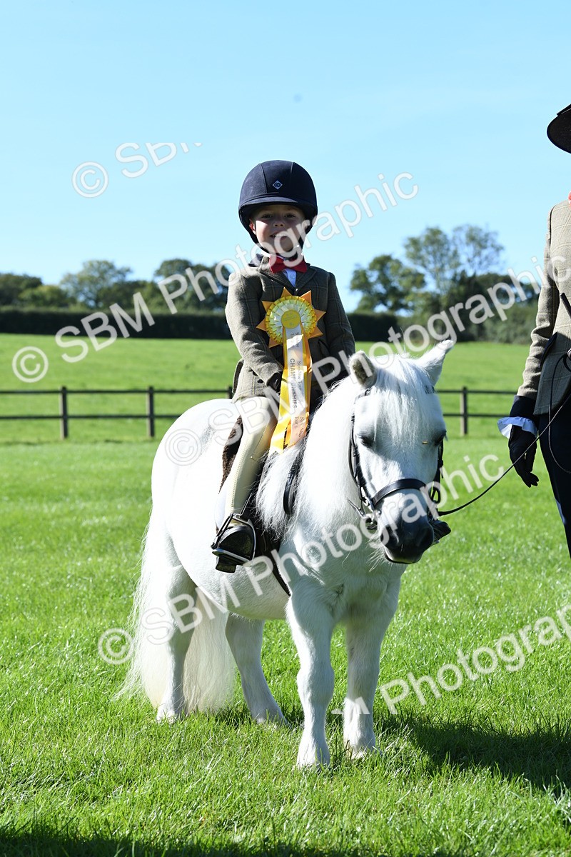 SBM_37059 - S18 - Novice & Newcomers Lead Rein Pony