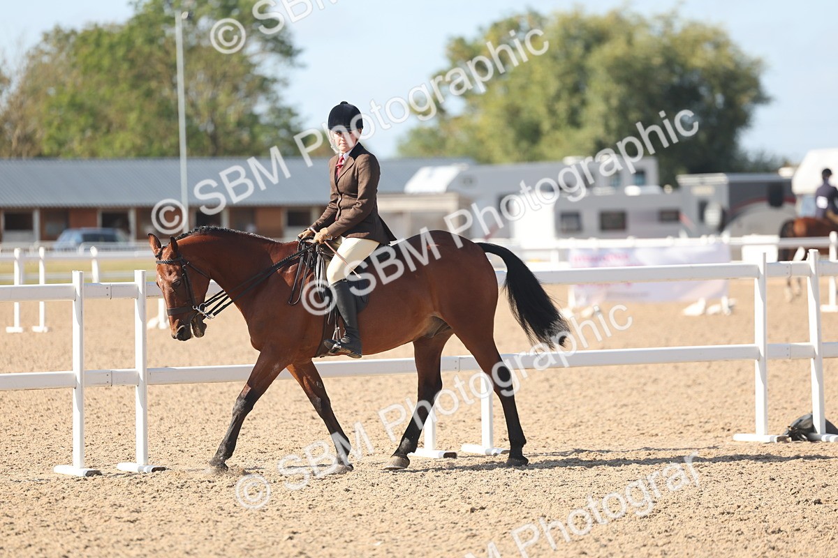 SBM_22618 - Class 804 - Ridden Veteran Pony