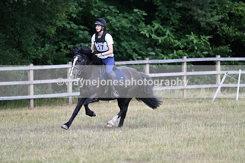 WJ7_0748 - 60cm Time 12:26 to 12:46