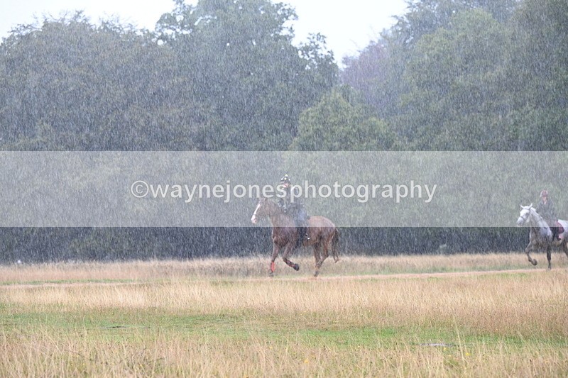 DSC_3103 - Time at Statue 12:59 to 13:49
