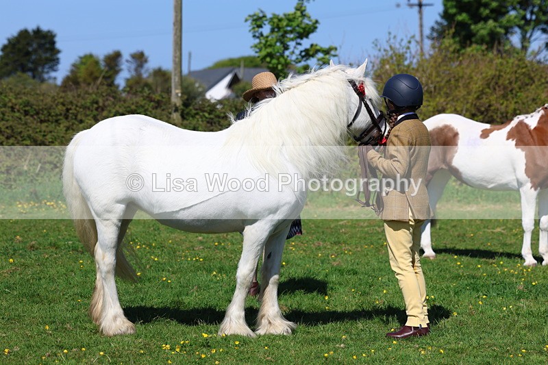 3E7A9885 - Class 17: Young Handler