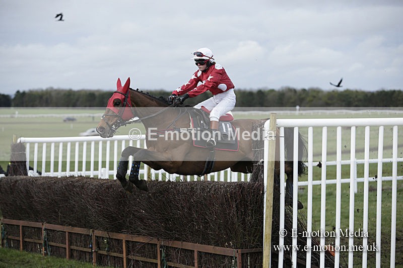 PtP 150320 0666 - New Forest Point-to-Point Larkhill 15/03/20
