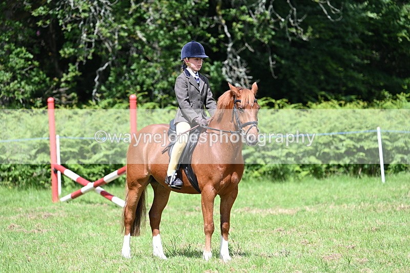 WJ7_1781 - Class 9 Pony Club Pony