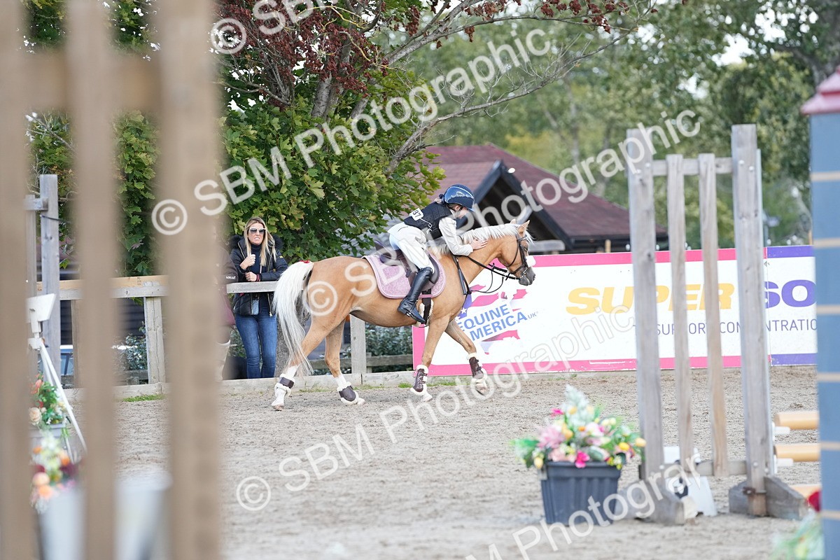 SBM_18177 - J58 - Clear Round 50cm