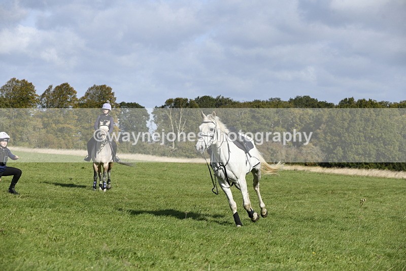 _DSC5465 - Time 10:49 to 11:23