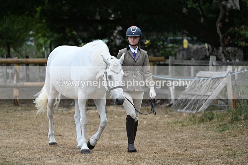 WJ7_8650 - Class 4a Prettiest Mare 14.2hh and over