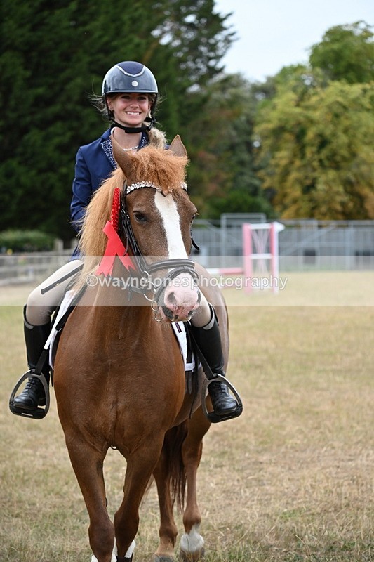 WJ6_0457 - Class 13 Novice Jumping 60cm