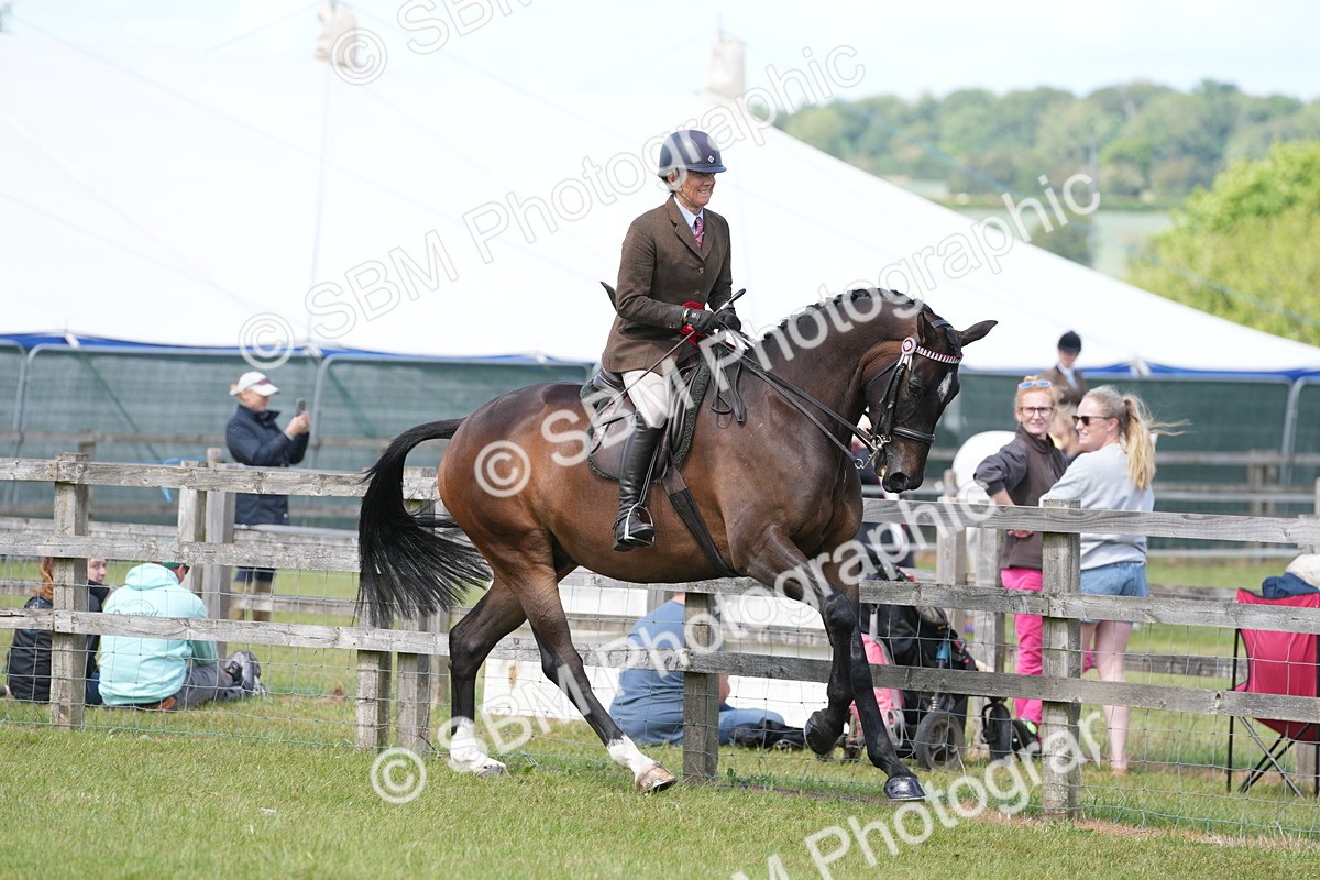 SBM_16292 - Class 105-106 - RIHS Riding Horses