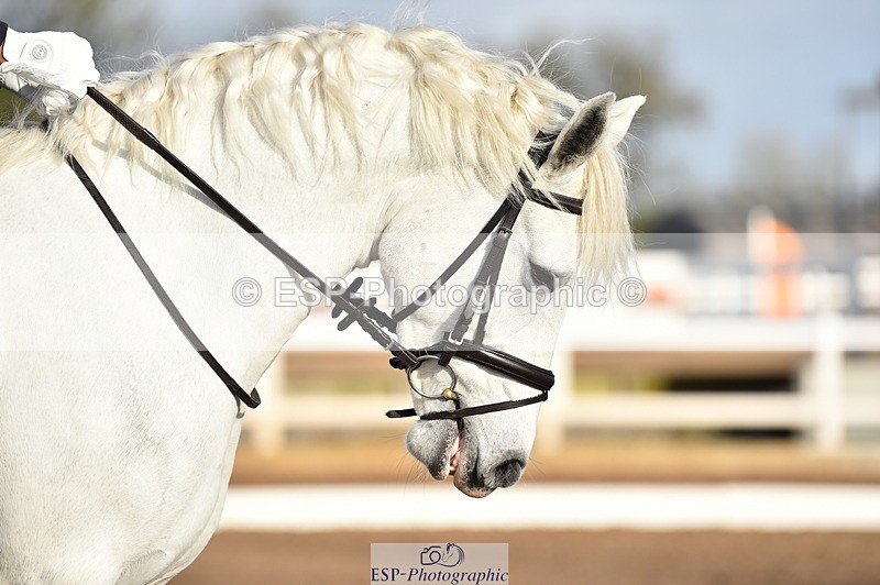 231104A-100856-01272 - Cls 2 Prelim 19