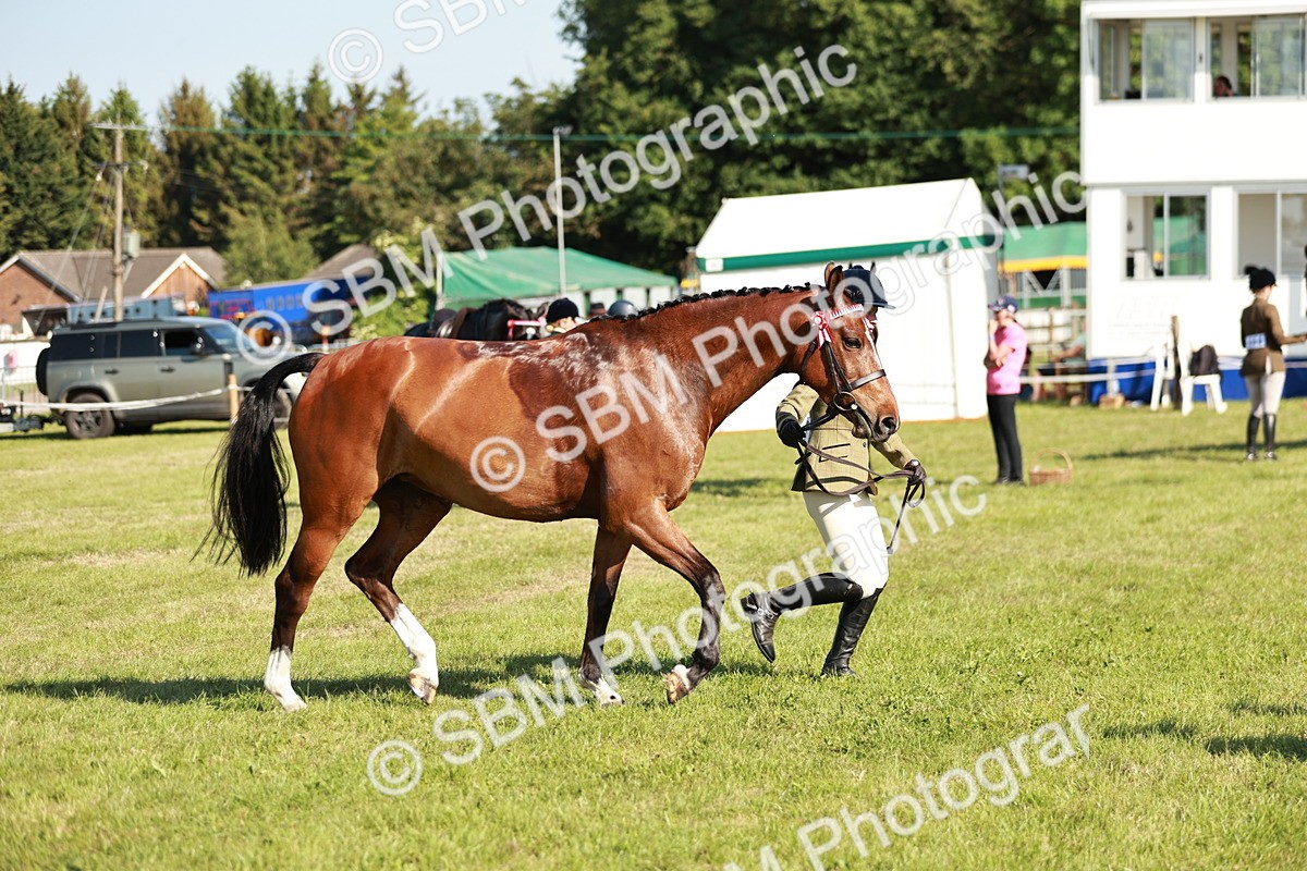 SBM_19309 - Class 115-116 - LIHS BSHA Rising Star Working Hunter & Show Horse