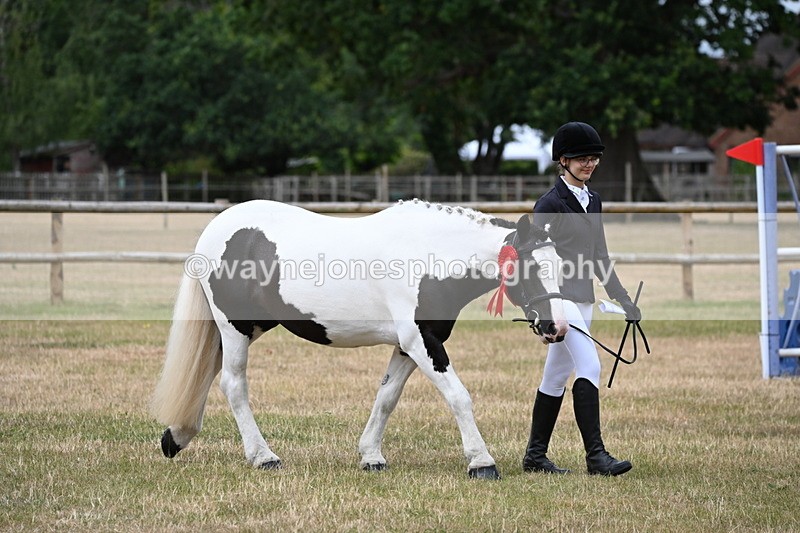 WJ6_4544 - Class 10 Coloured In-hand