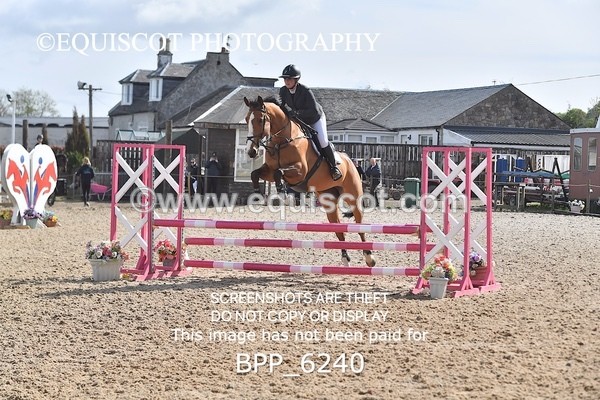 BPP_6240 - CLASS 32 MON Club/ Unaffiliated 80cms Open