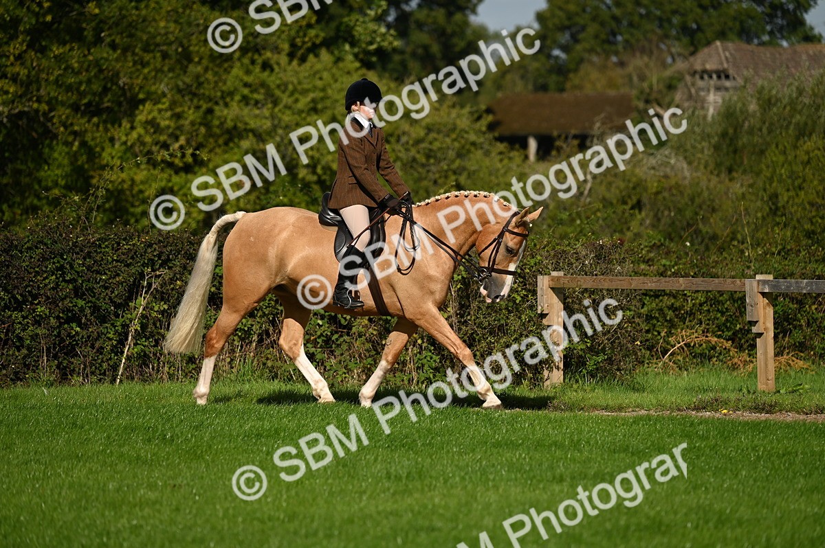 SBM_01379 - S2 - TSR Ridden Horse Showing