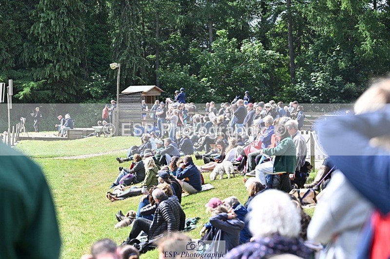 250525A-102516-15751 - Western Counties Crowds