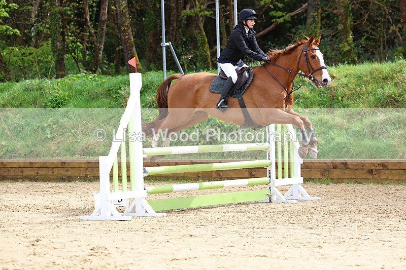 3E7A0866 - Class 4: Senior British Novice/90cm open