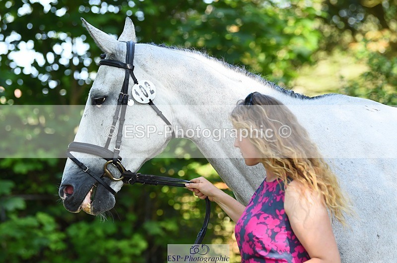 230524-162622-00871 - 102-BANDITO_VAN_POLDERZICHT-Grace_Taylor-WEDTrotUp+DR