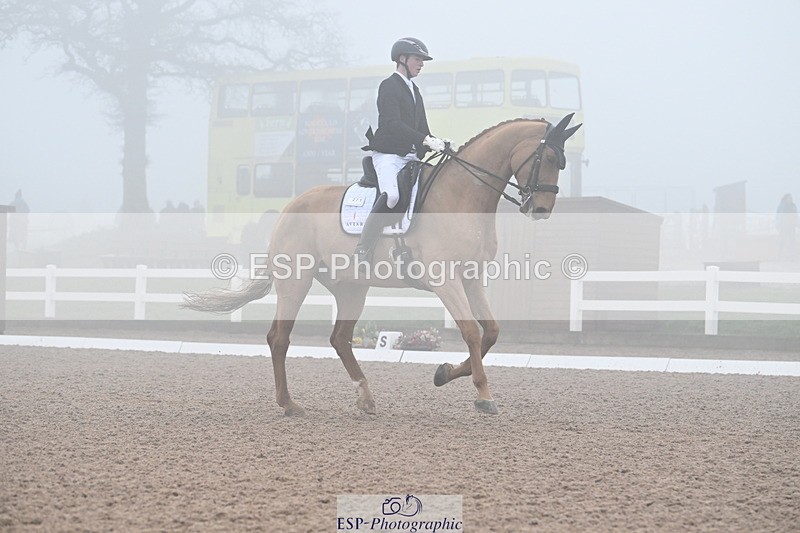 240217A-131412-02775 - 271-Tom.Carter-Rubin.Regal