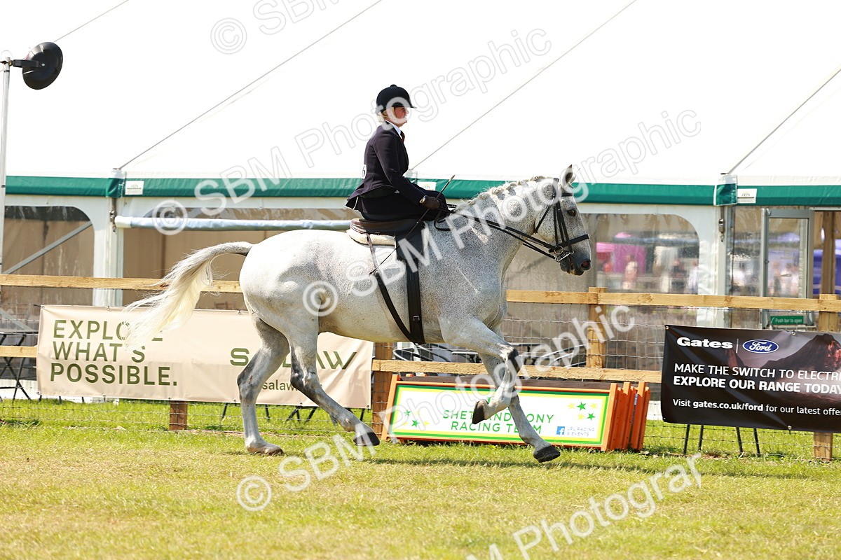 SBM_13368 - Class 70-71 - Side Saddle