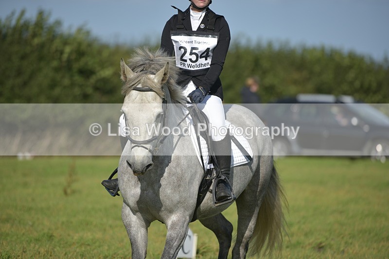RAY_7375 - Class 2B: Trekenning Open: Dressage
