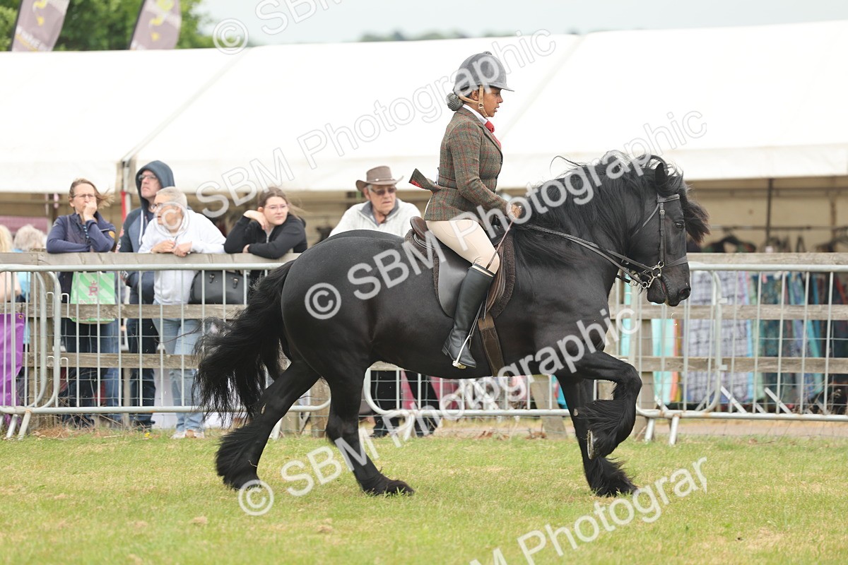 SBM_08947 - Class 78-80 - Ridden M&M Non Welsh Ponies