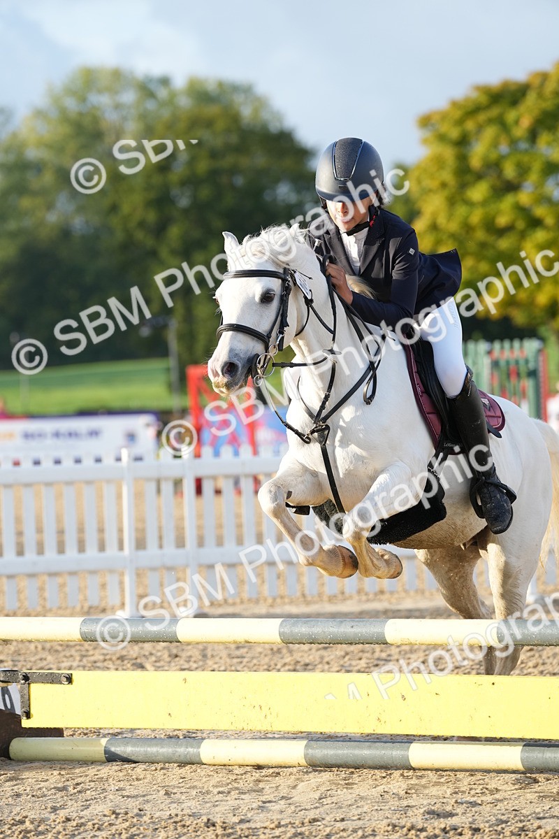 SBM_32184 - J5 - Junior Pony 50cm Championship