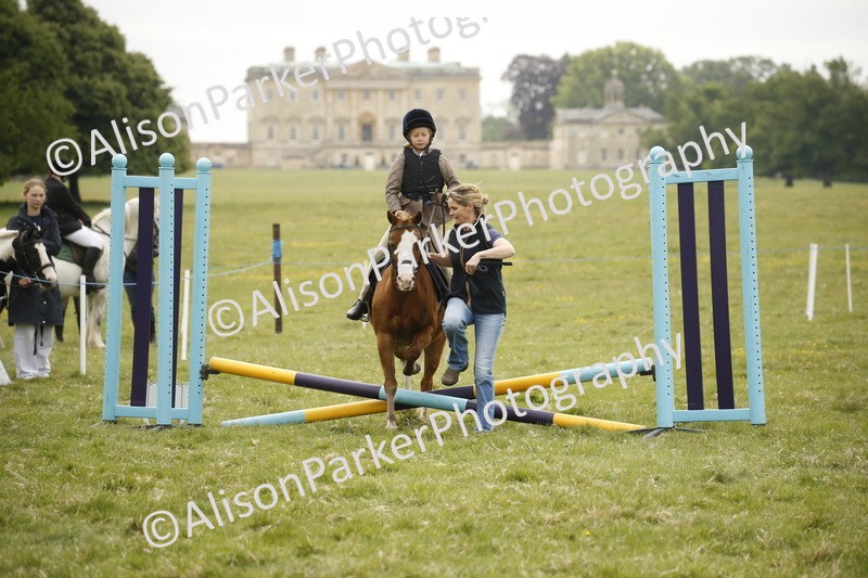 20250517-0308 - Class 1 - 30cm On Lead Rein