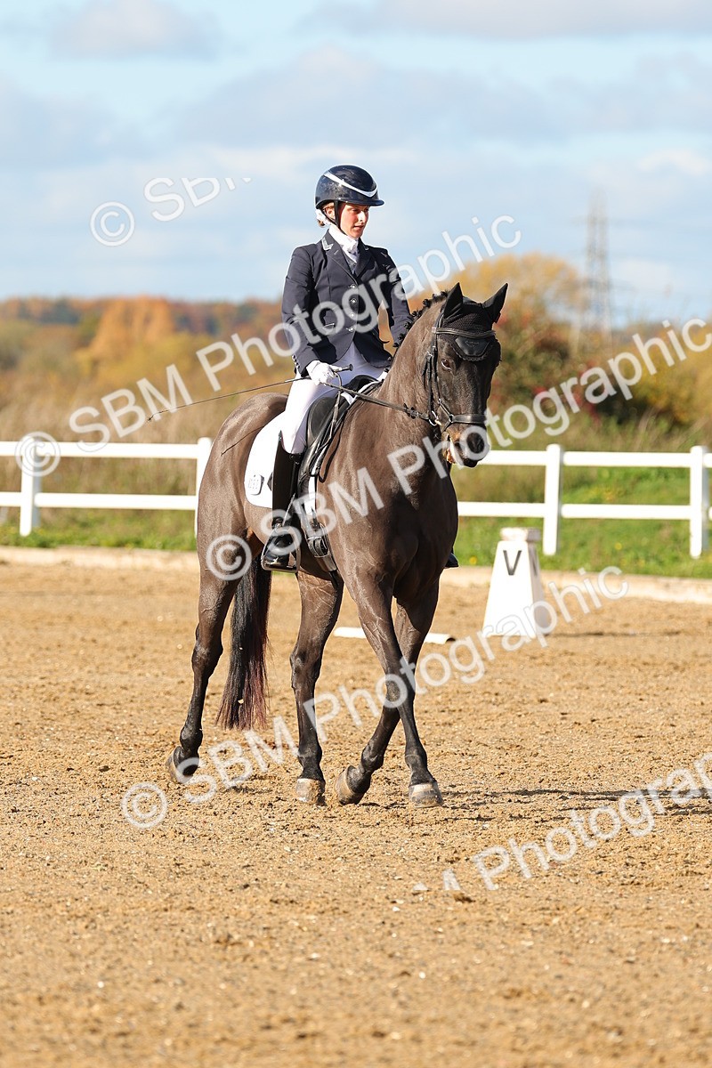 SBM_001380 - Medium 3