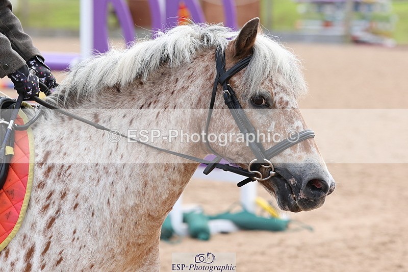 240714A-141737-02339 - Cls 14-15-16  CR & 60cm