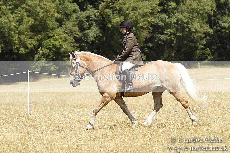 _BS_0806 - BVRC Show 2018 Ring 1